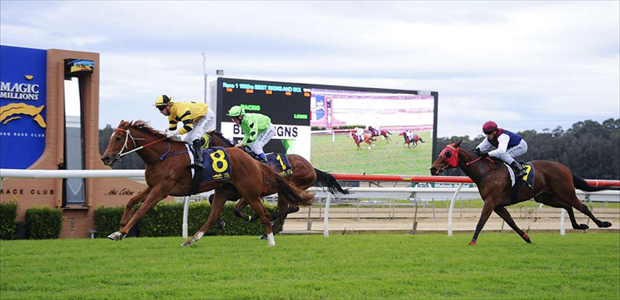 Yeas and Nays - Wyong - 29/06/2017